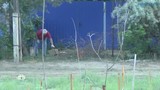 Что важно соблюдать при использовании участка и строительстве?
